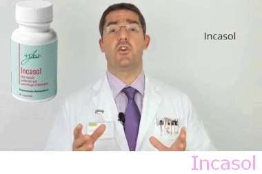 Incasol Opiniones 6 Meses